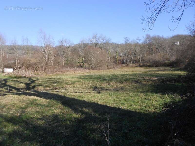 Terrain à POUEYFERRE