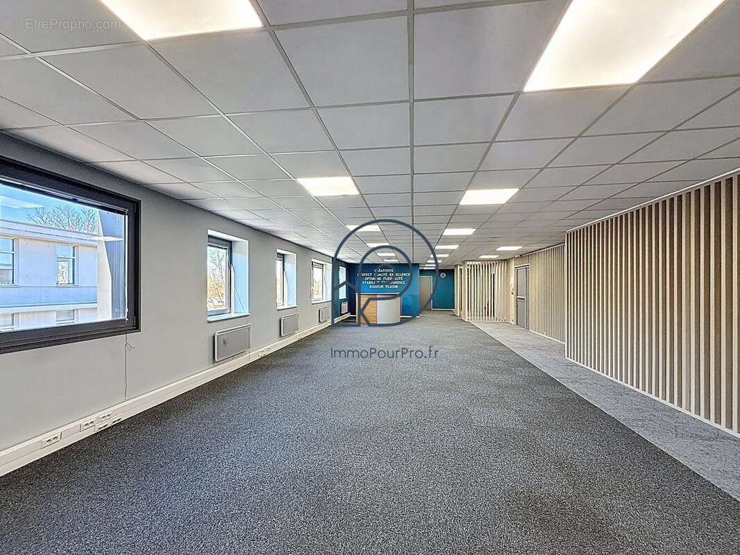 Commerce à WASQUEHAL