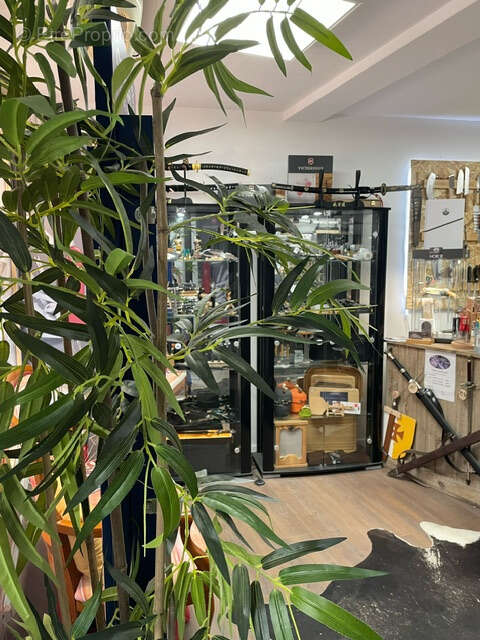 Commerce à SALON-DE-PROVENCE