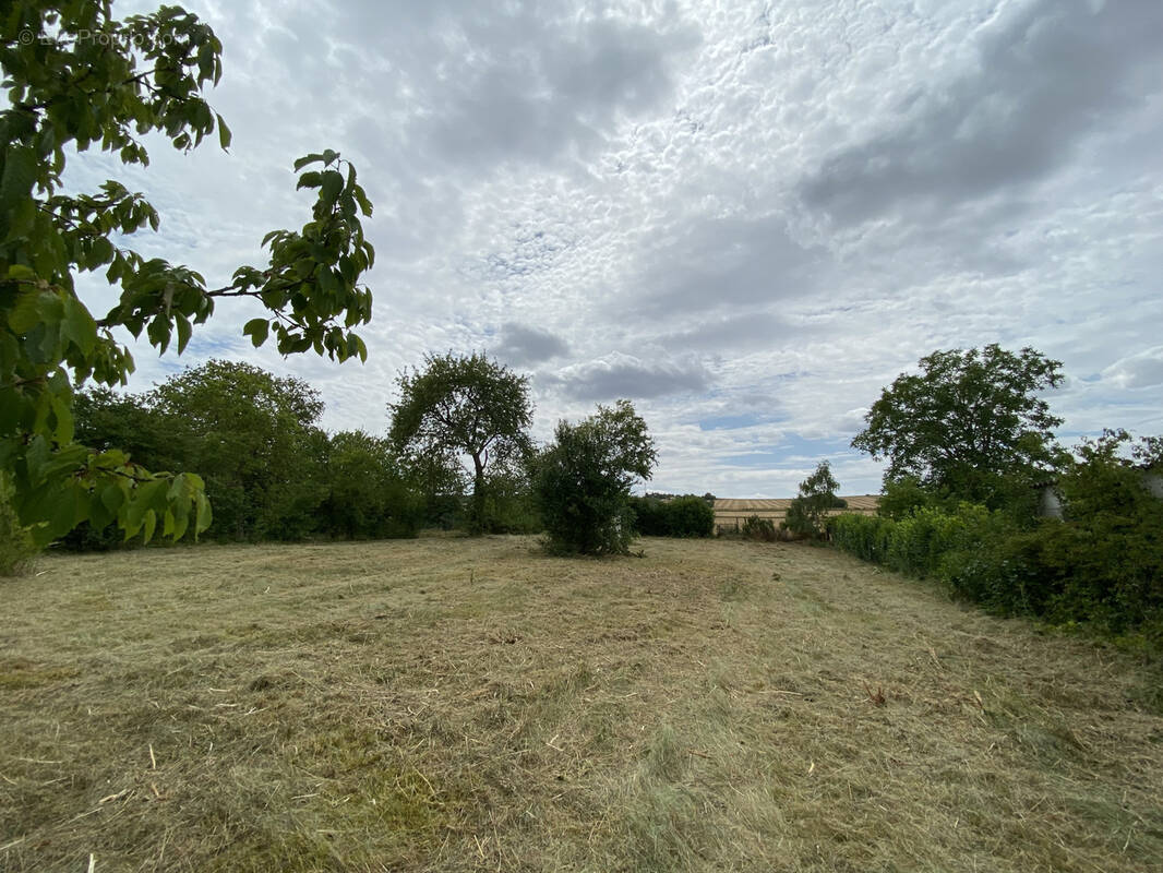 Terrain à CHAMPIGNY