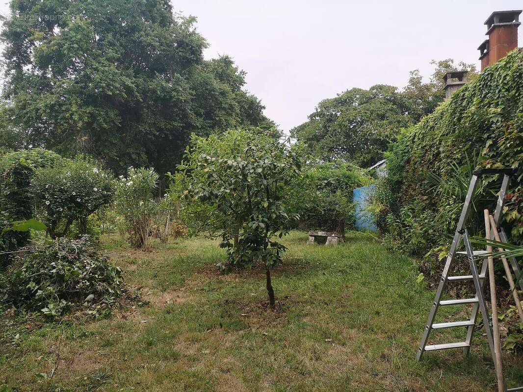 IMG20250826111152 - Maison à PLAISANCE