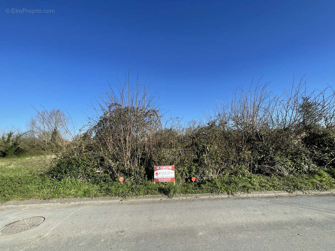 Terrain à FRONTENAY-ROHAN-ROHAN