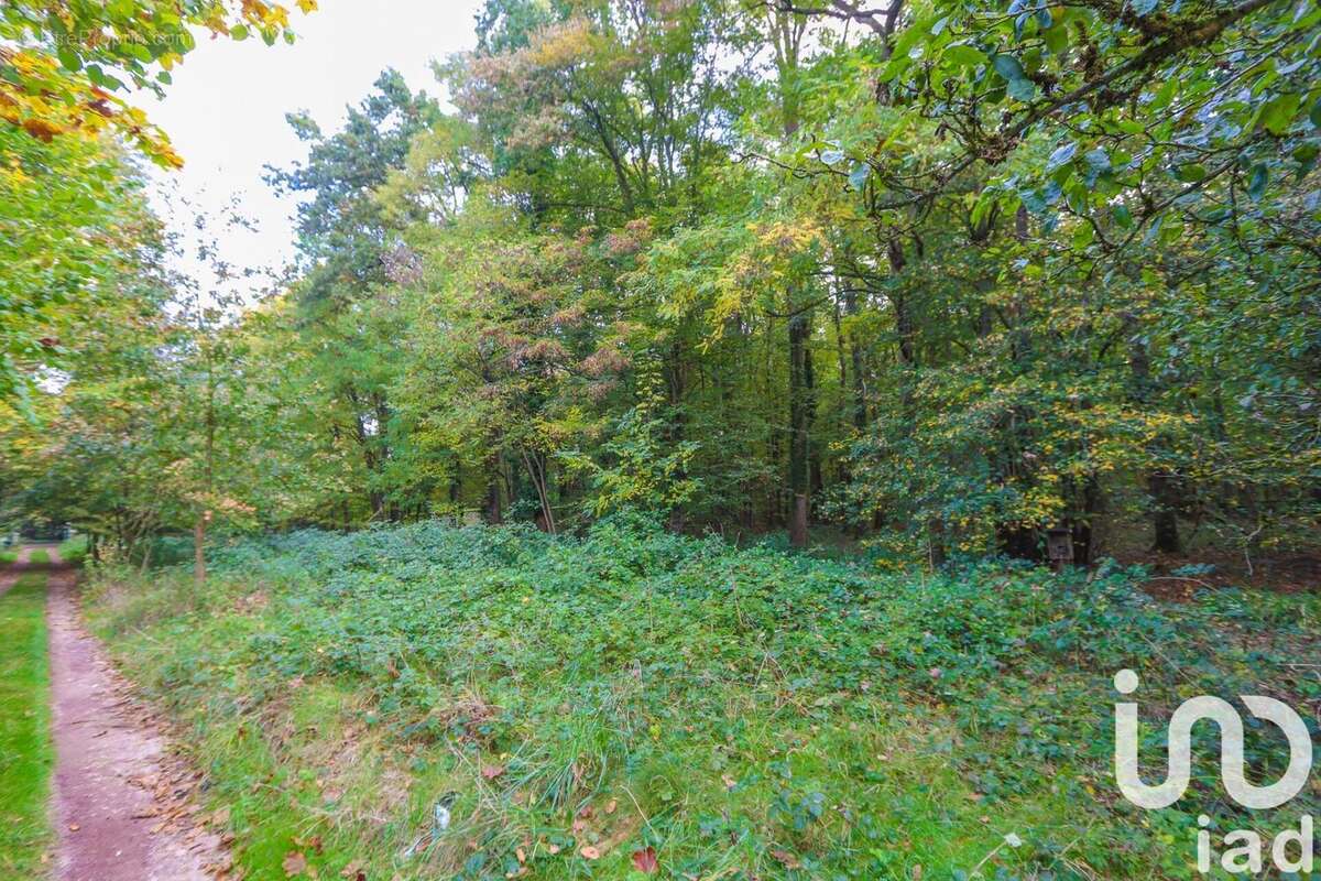 Photo 7 - Terrain à VIARMES