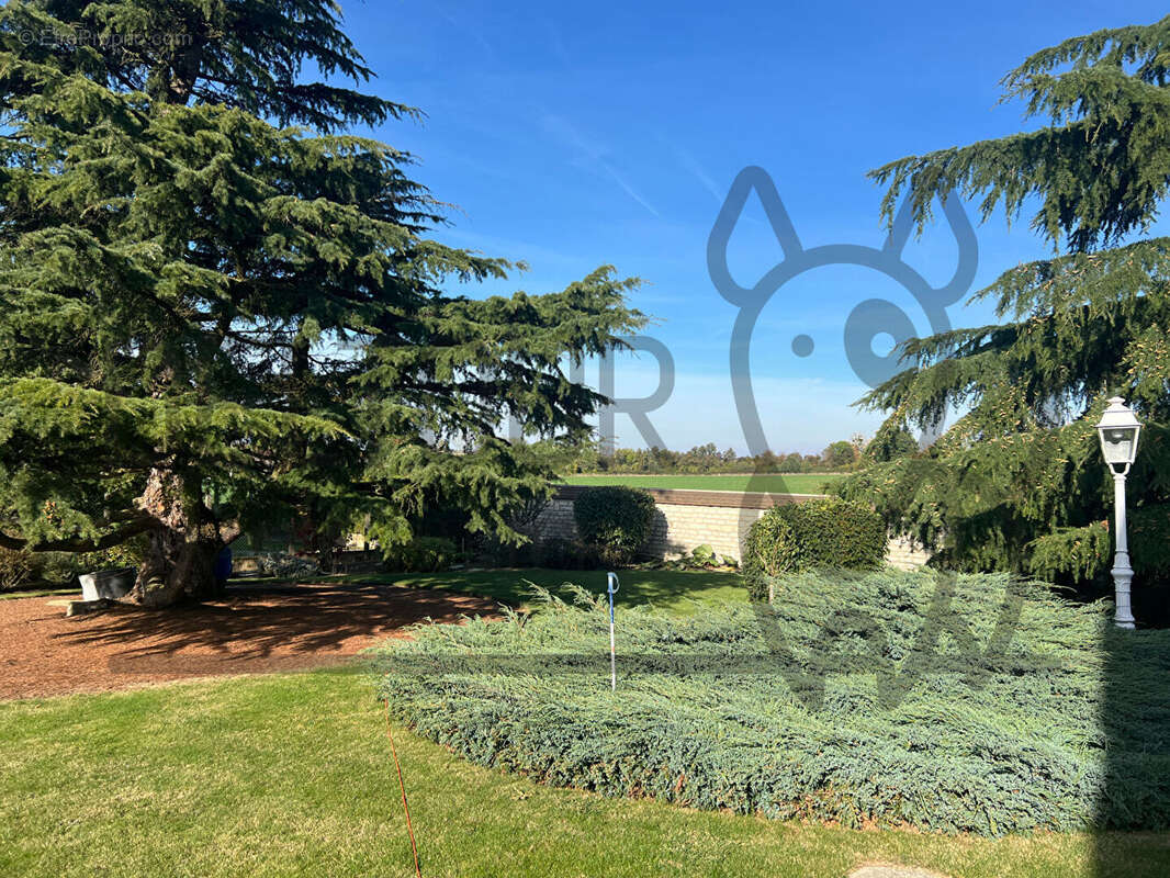 Maison à COULOMMIERS