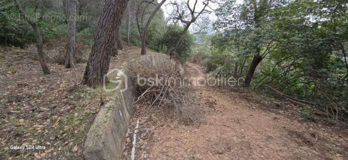 Terrain à SOLLIES-VILLE