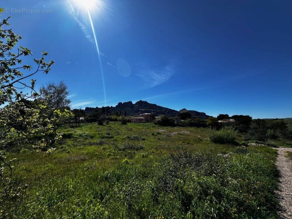 Terrain à ROQUEBRUNE-SUR-ARGENS