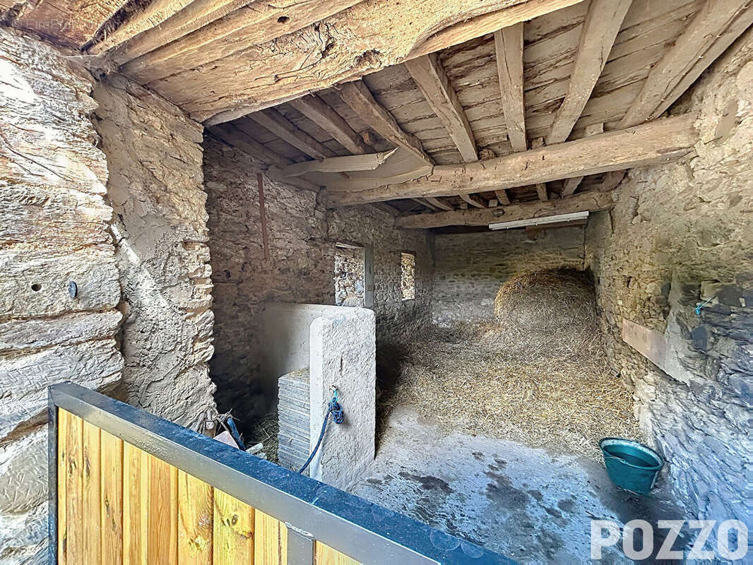MARIGNY - Propriété de charme de 90 m² habitable dans un écrin de verdure de plus de 9 000 m² - photo 15