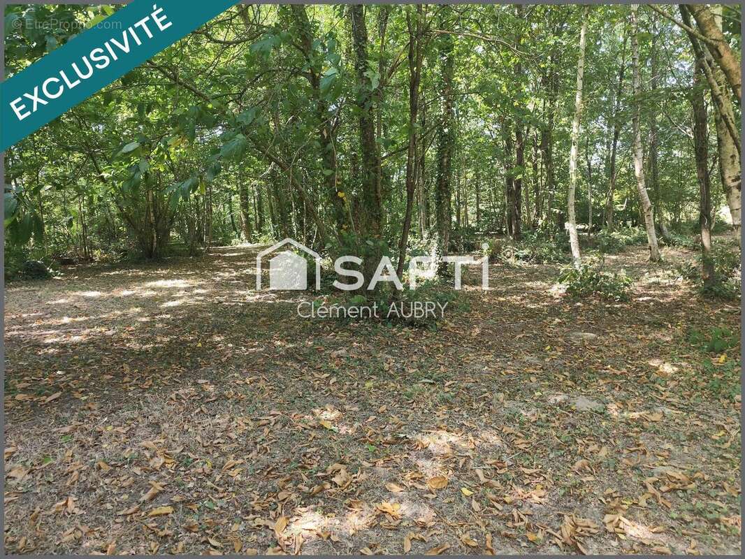 Terrain 7810 m² à Saint-Ouen-Des-Toits  - photo 3