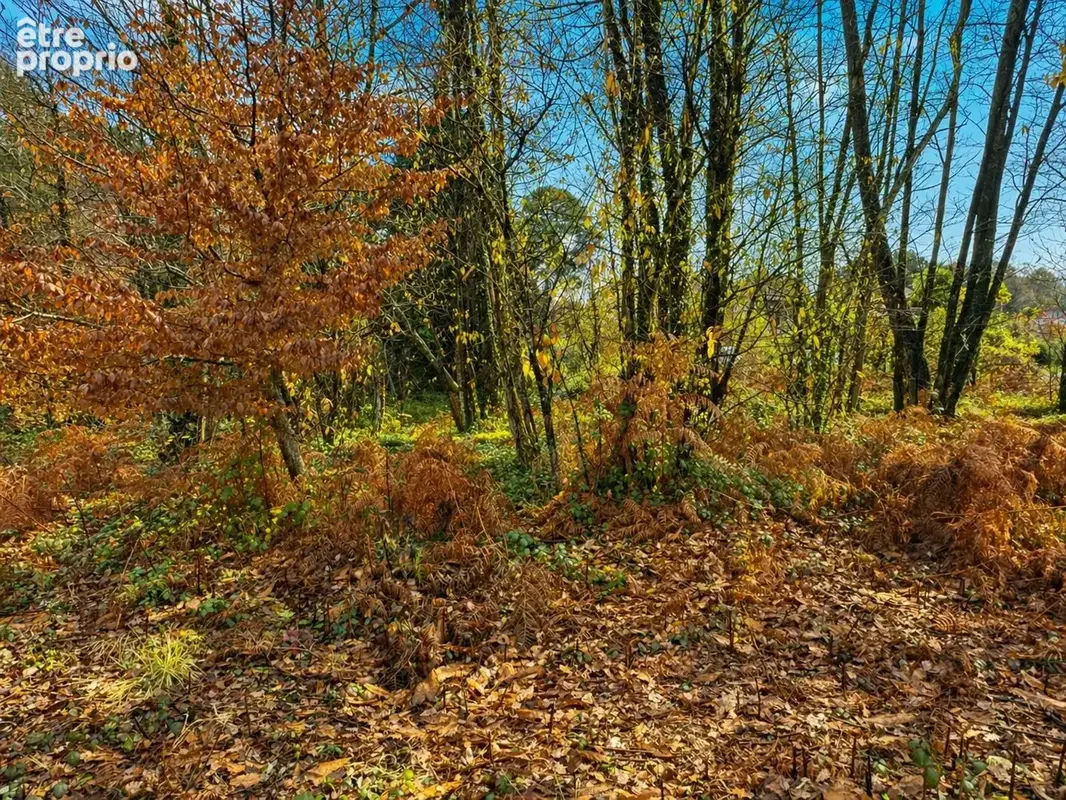 Terrain à CHANCELADE