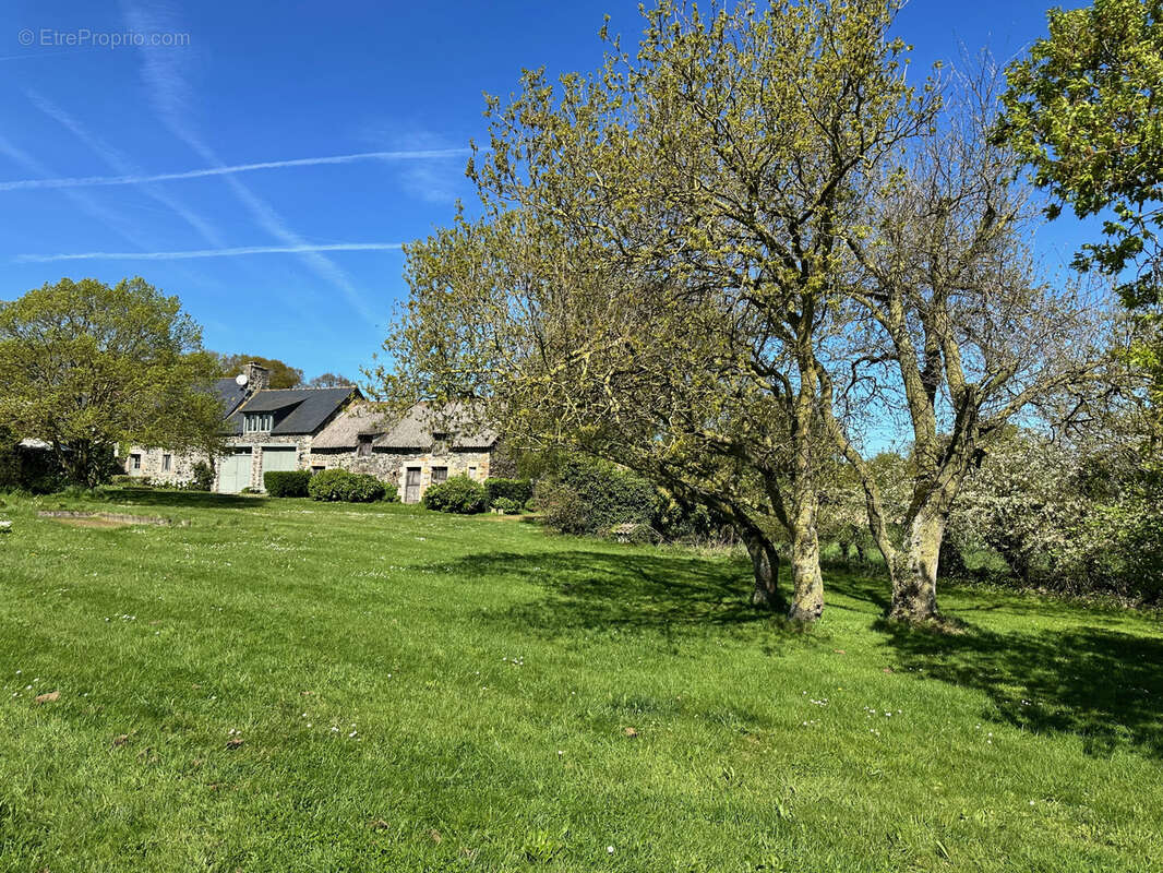 Maison à HENANBIHEN