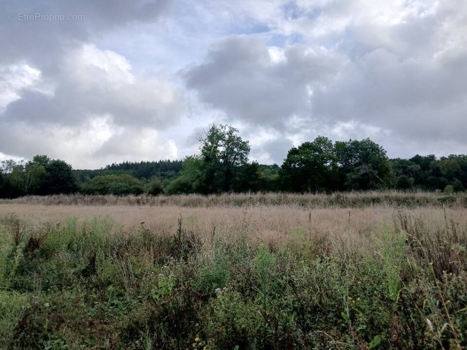 Terrain à LE BREUIL-EN-AUGE