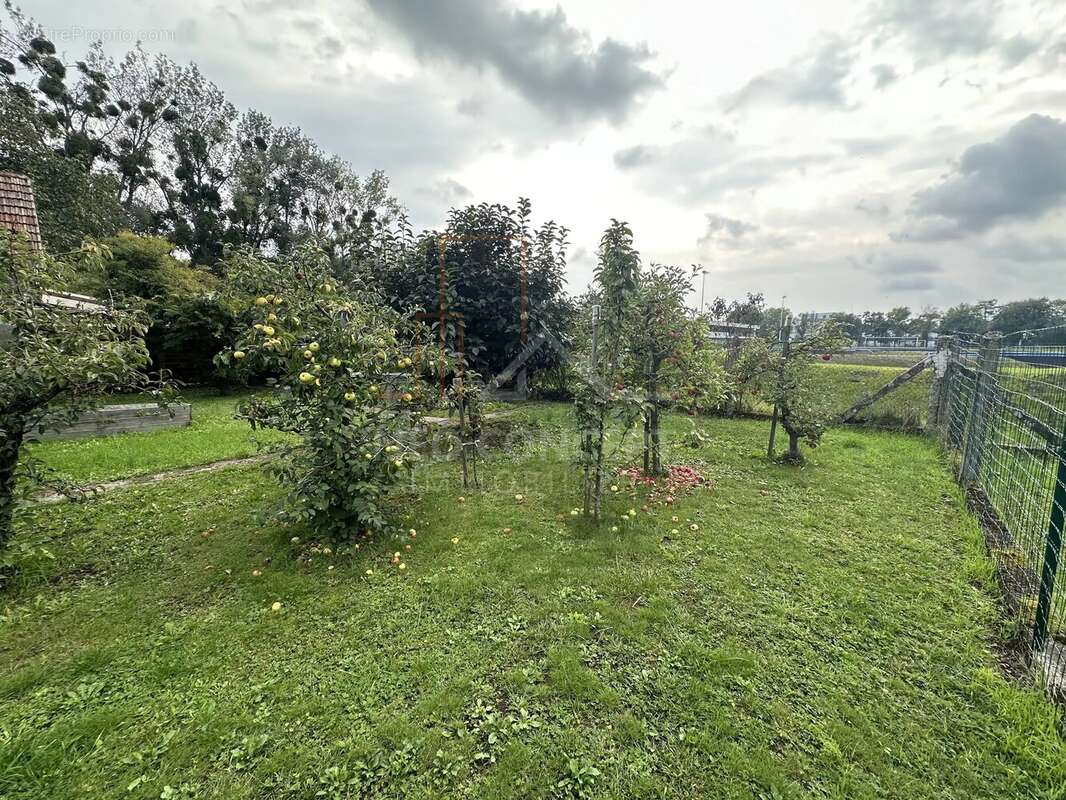 Maison à DRUSENHEIM