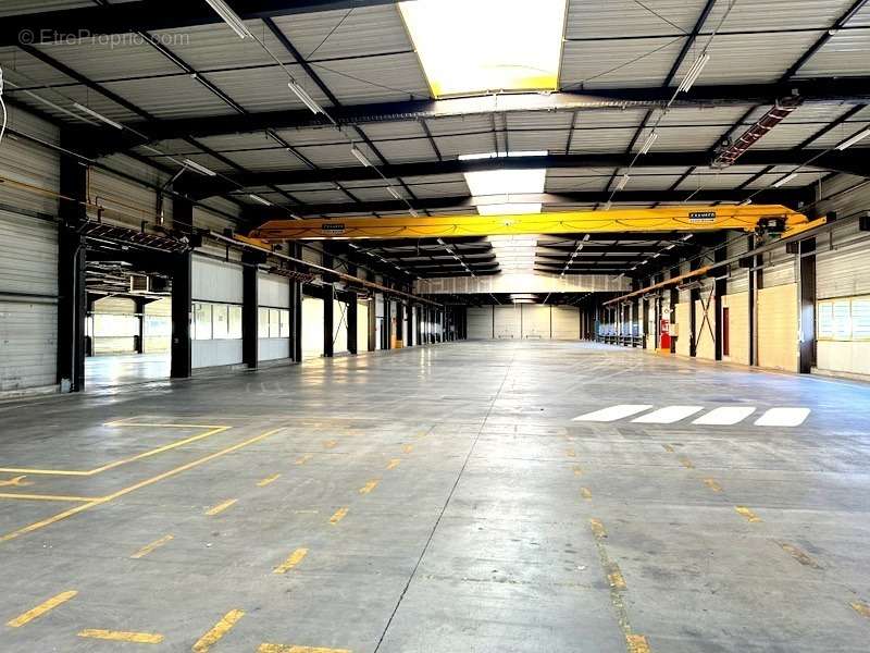 Commerce à MONTLUCON