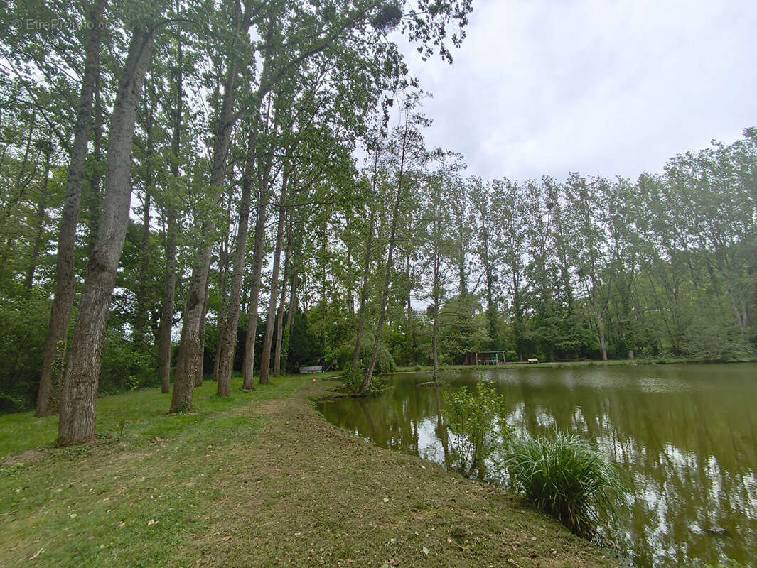 Terrain à MARCILLE-RAOUL