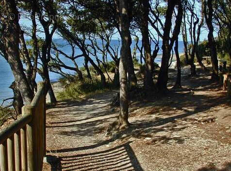 Maison à VAUX-SUR-MER