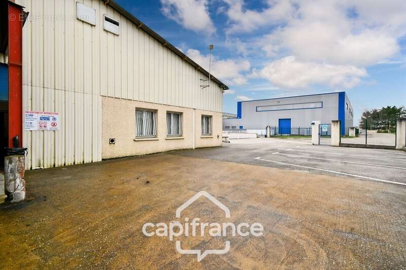 Commerce à VIRAZEIL