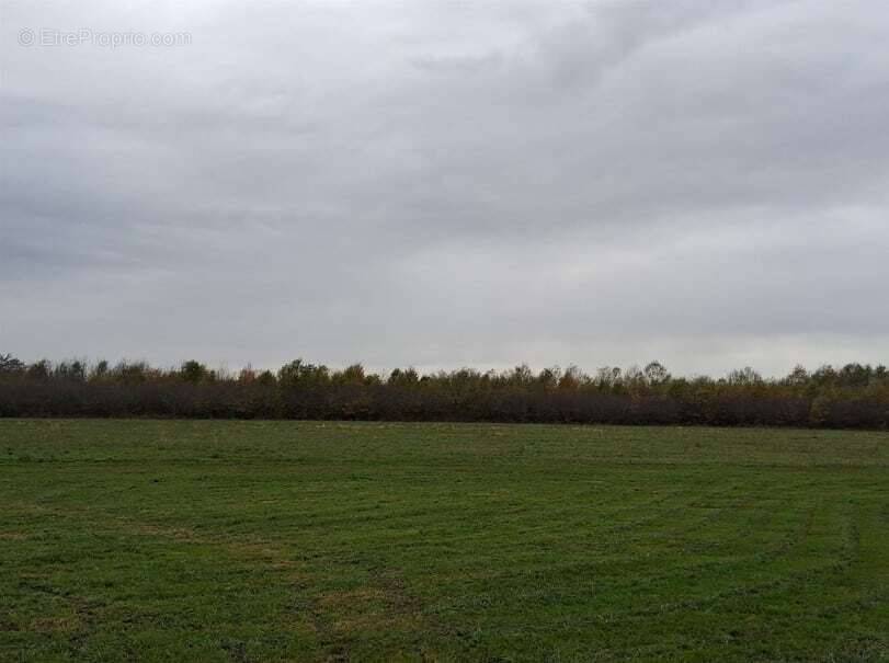 Terrain à SAINT-LAURENT-DES-VIGNES