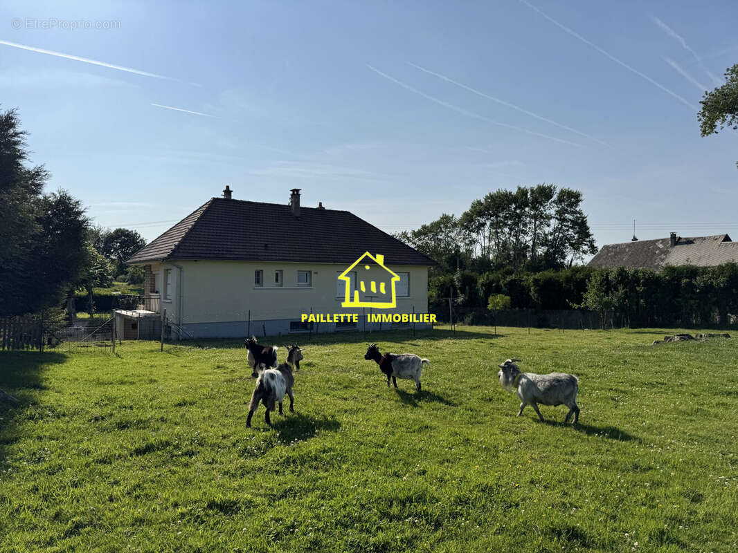 Maison à SAINT-EUSTACHE-LA-FORET