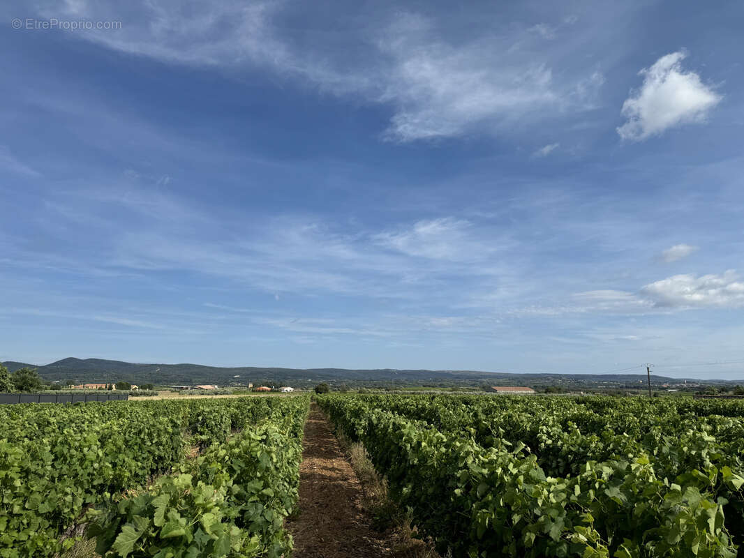 Terrain à SAINT-JEAN-DE-FOS