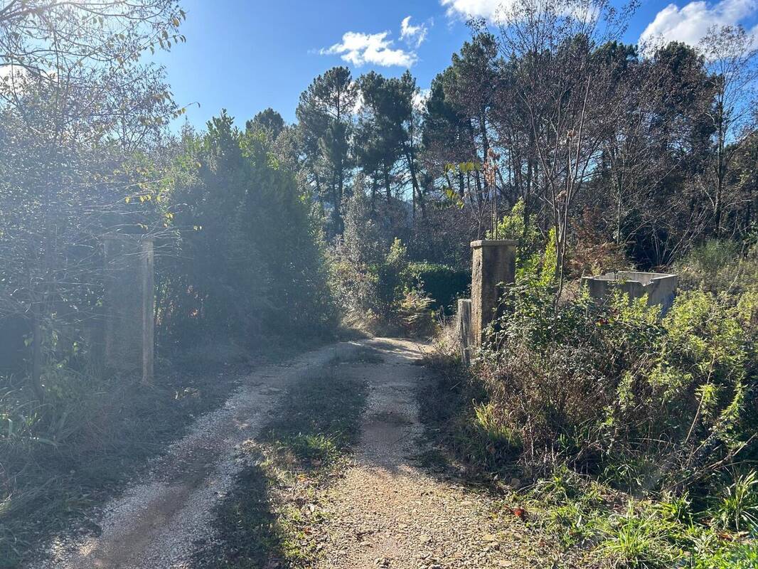 Photo 1 - Terrain à SAINTE-CECILE-D&#039;ANDORGE