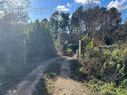 Photo 1 - Terrain à SAINTE-CECILE-D&#039;ANDORGE