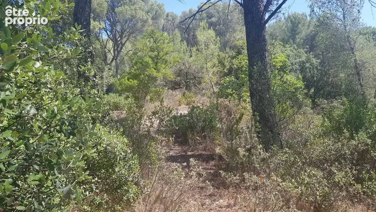 Exclusivite - terrain a vendre - la roque d'antheron - foret - photo 6