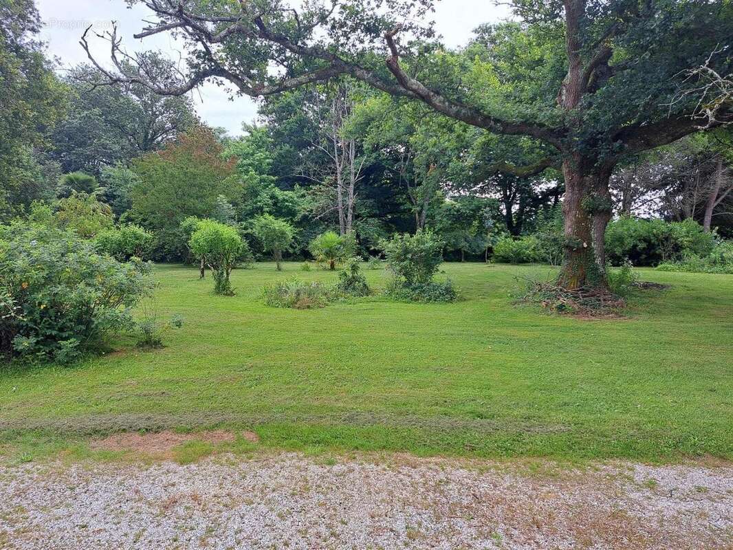 Photo 3 - Maison à LANNEMAIGNAN