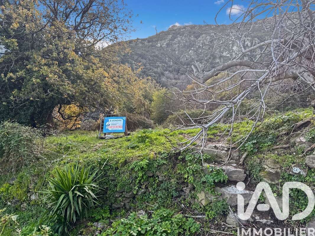 Photo 4 - Terrain à SANTO-PIETRO-DI-TENDA