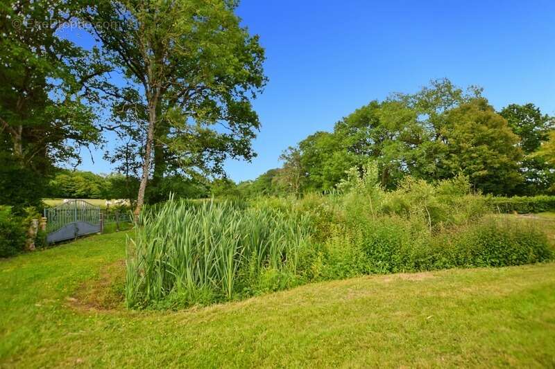 Maison sur sous-sol de 156 m2avec terrain de 4283 m2 à  ANTULLY (71) - photo 11