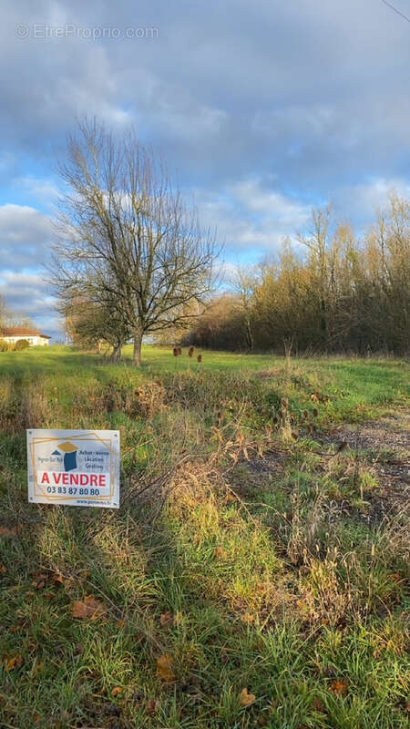 Terrain à BEAUMONT