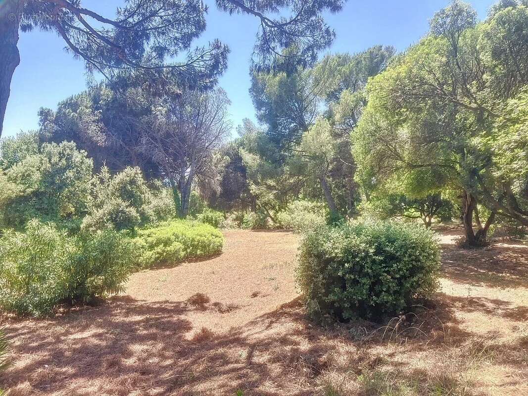 Terrain à LA CROIX-VALMER