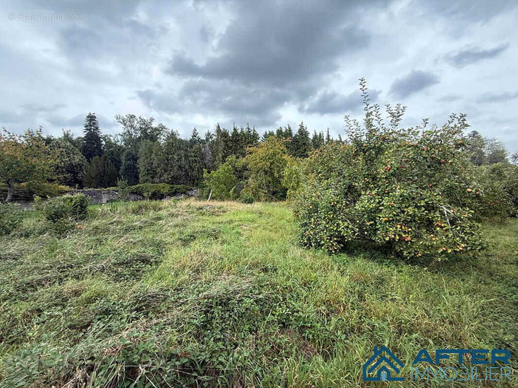 Terrain à GERBEVILLER