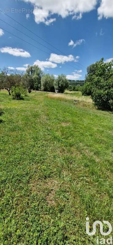 Photo 4 - Maison à LA NEUVEVILLE-SOUS-MONTFORT