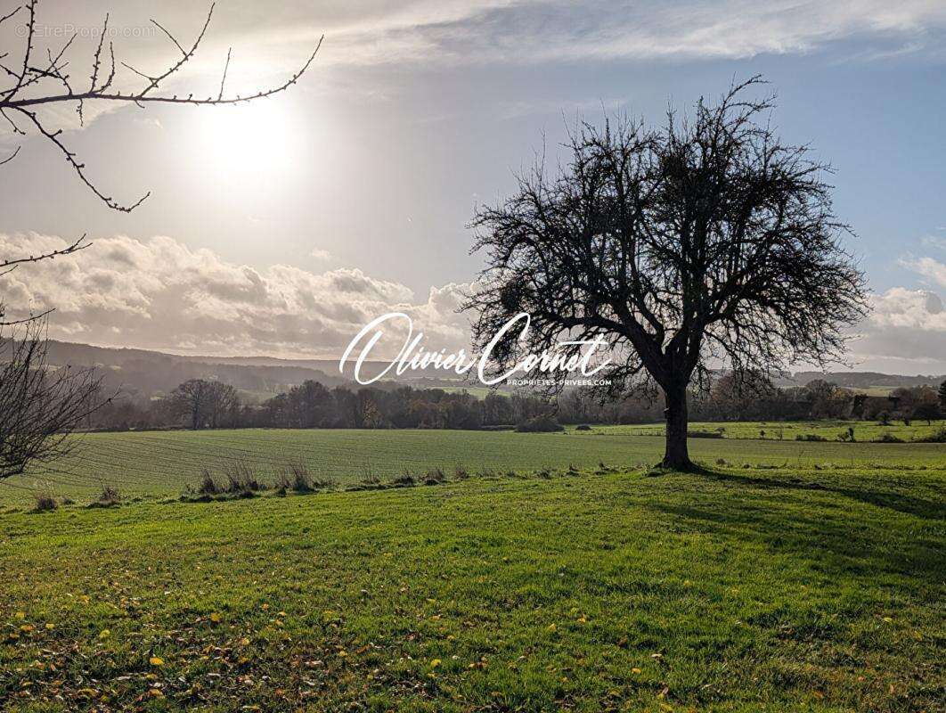 Maison à SAINT-DENIS-D'AUTHOU