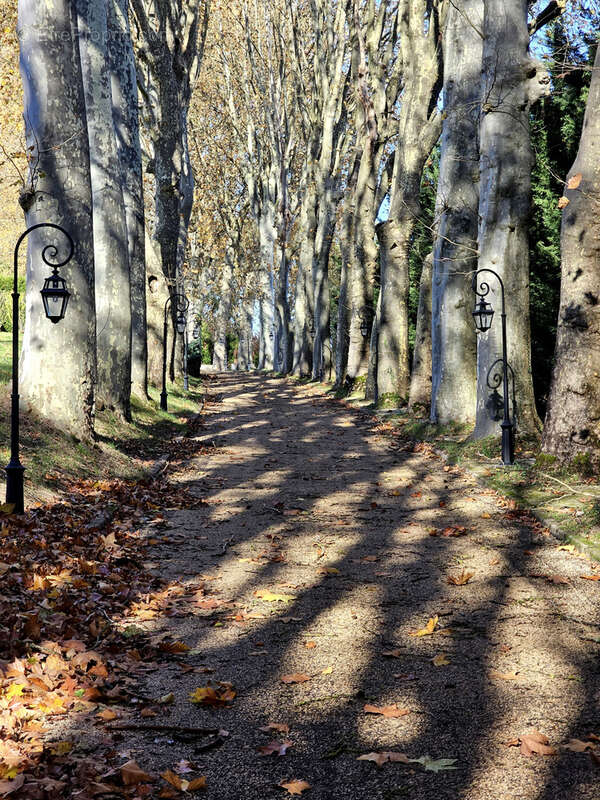 Terrain à GENEUILLE