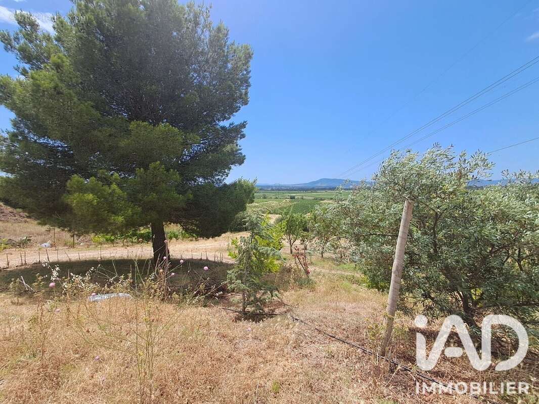 Photo 2 - Terrain à AZILLE