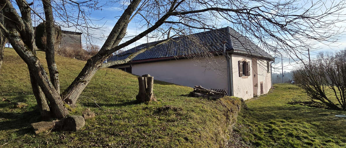 Maison à PLAINE