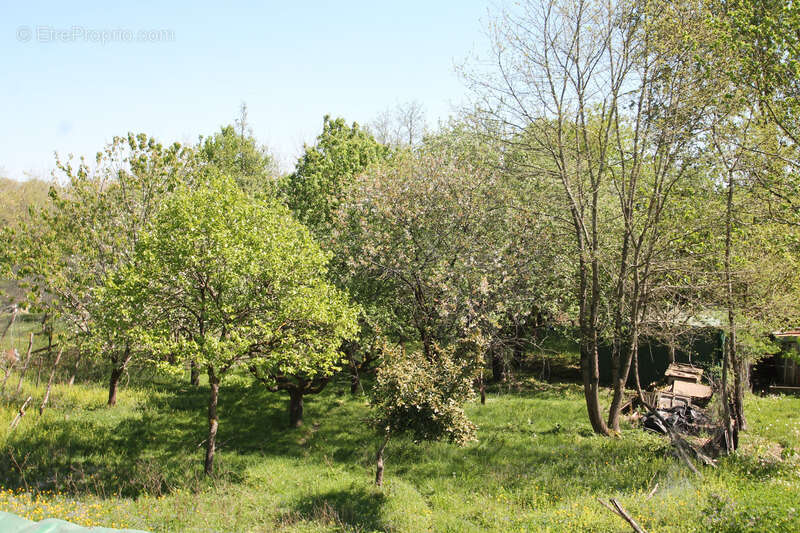 Maison à LE MAS-D'AGENAIS