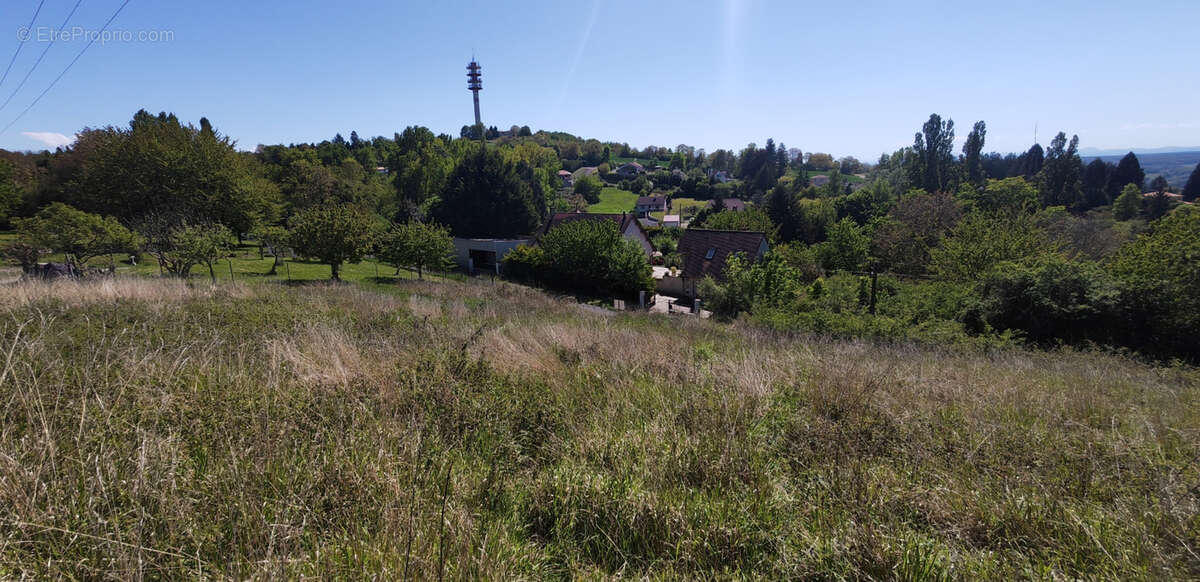 Terrain à LE VERNET