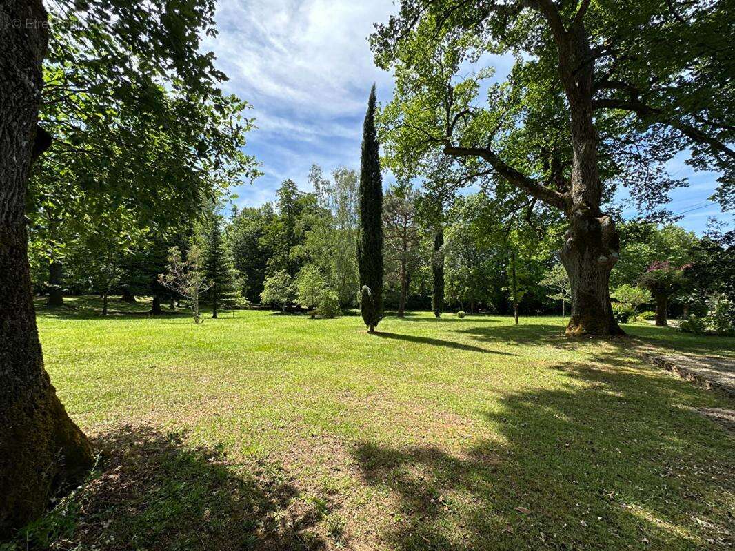 Maison 370 m² à Corgnac-Sur-L'isle  - photo 3