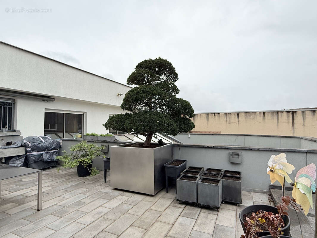 Commerce à TERVILLE