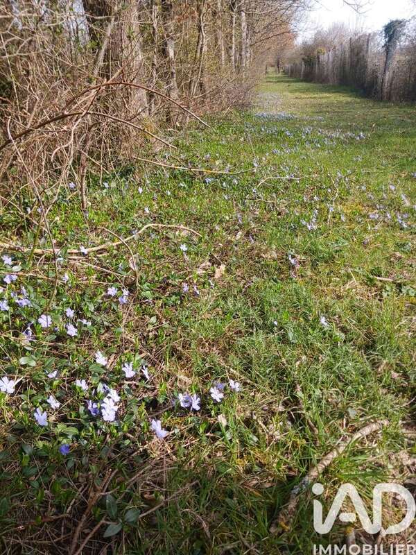 Photo 3 - Terrain à USSON-DU-POITOU