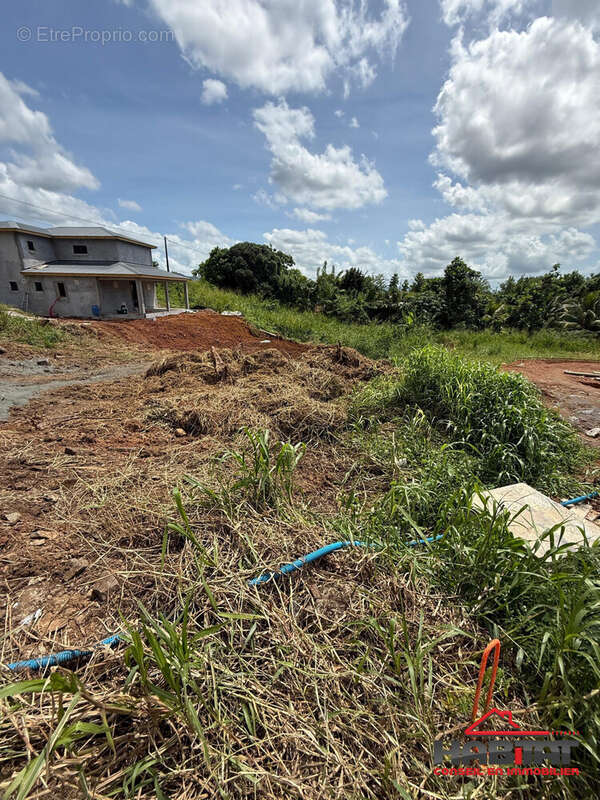 Terrain à LE LAMENTIN