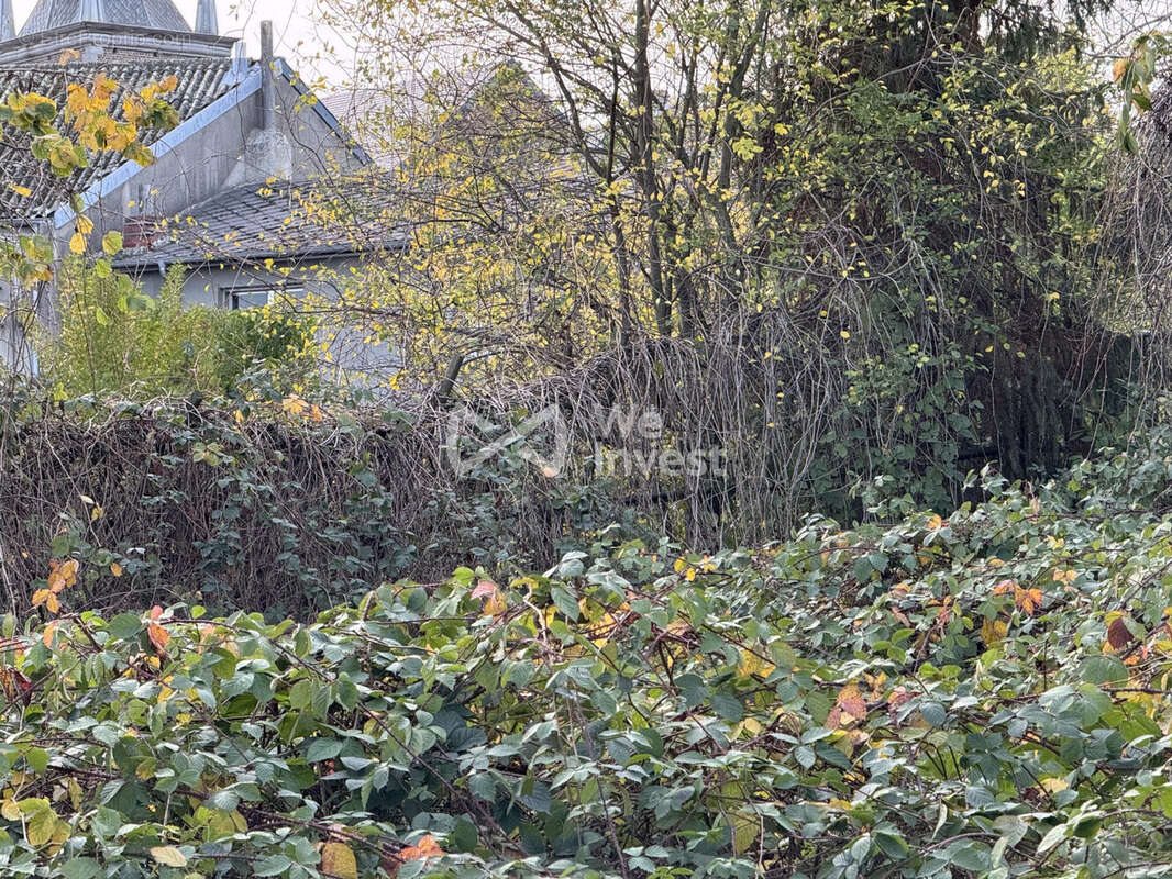 Terrain à VILLERS-SIRE-NICOLE