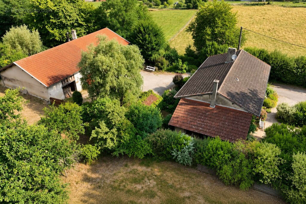 01160 LA TRANCLIÈRE   Propriété de 8 Ha - 1 ferme d’habitation - 1 gîte - 1 hangar   1 pièce d’eau - photo 2