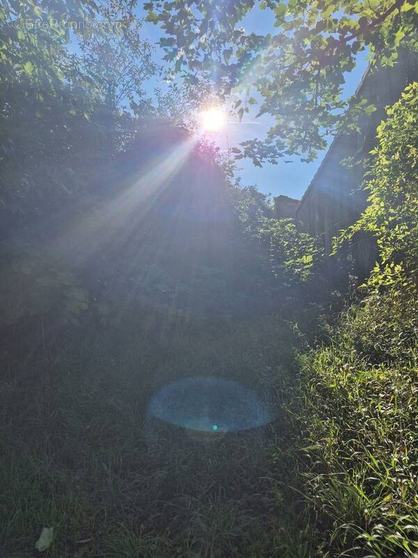 Terrain à LA COURONNE