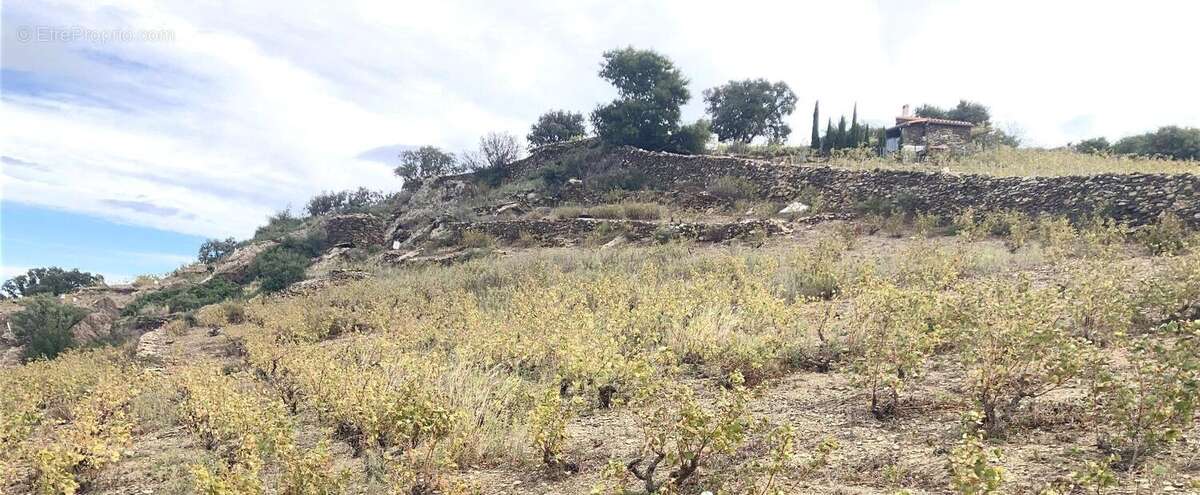 Terrain à COLLIOURE