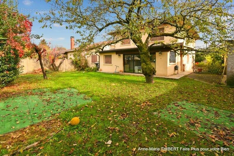 Maison à VILLEURBANNE