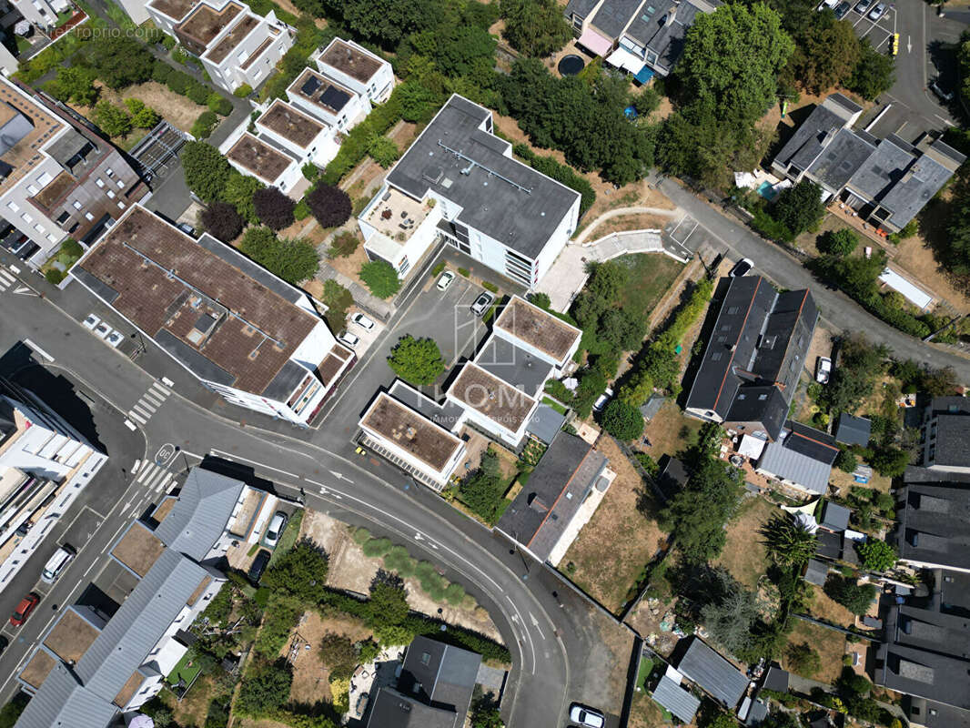 Angers parc bocquel - photo 9