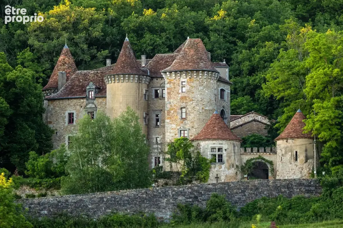 Château entierement renove - photo 6